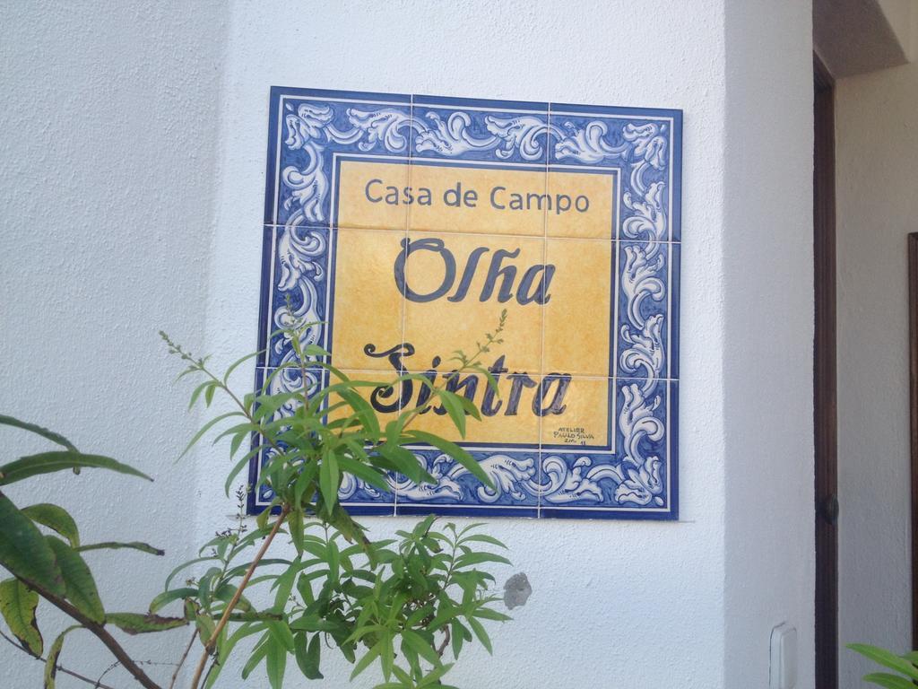 House 3 Bedroon - Near Sintra And Lisbon Villa Rum bild